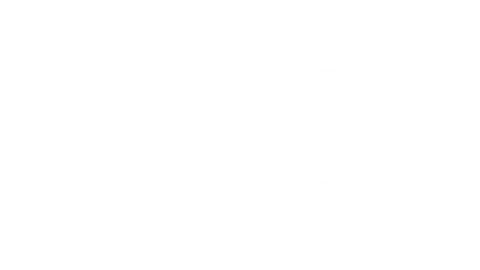 Logo de sponsor 12