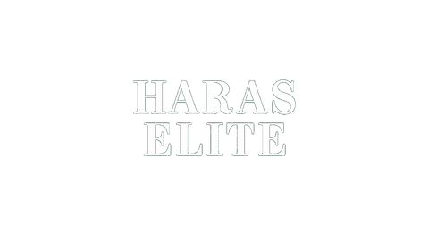 Logo de sponsor 4